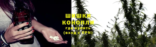 кокс Белокуриха