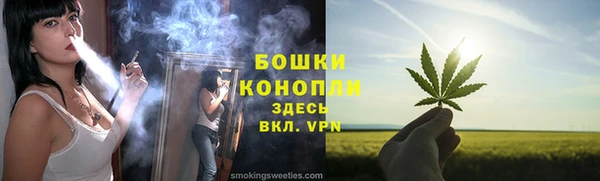 сатива Богородицк