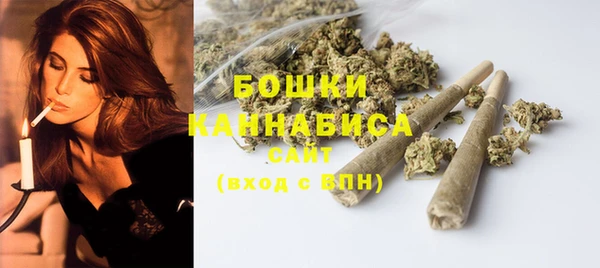 сатива Богородицк