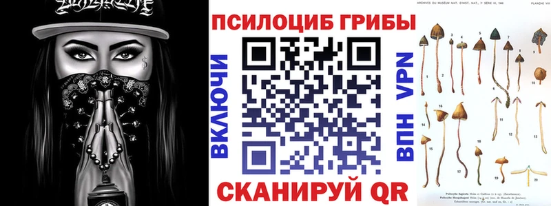 купить наркоту  Горняк  Псилоцибиновые грибы прущие грибы 