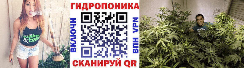 Канабис MAZAR  Горняк 